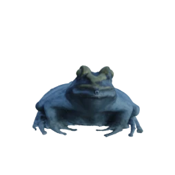 Frog input view 1